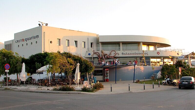 Cretaquarium: A Must-Visit Attraction in Crete